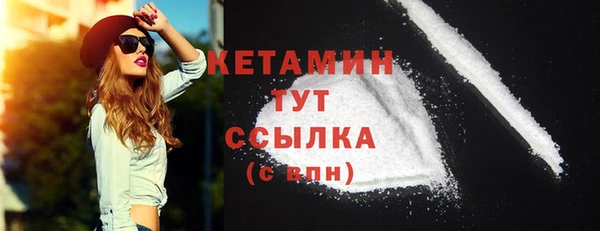 СК Алексин
