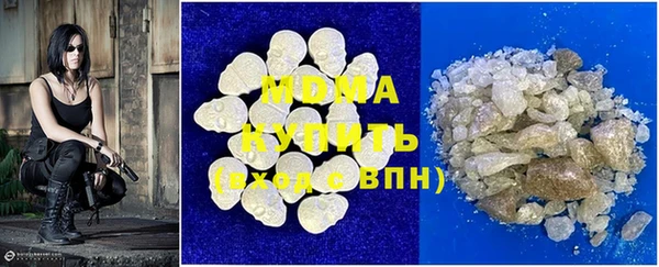 СК Алексин