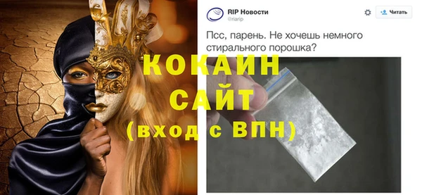 СК Алексин