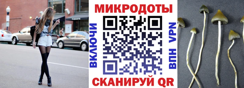 Псилоцибиновые грибы GOLDEN TEACHER  закладка  Спасск-Рязанский 