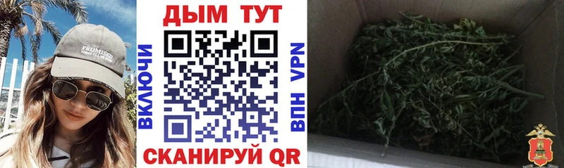 Бошки Шишки THC 21% Спасск-Рязанский